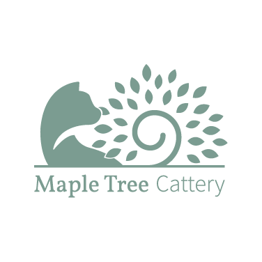 Winner small image - Maple Tree Cattery